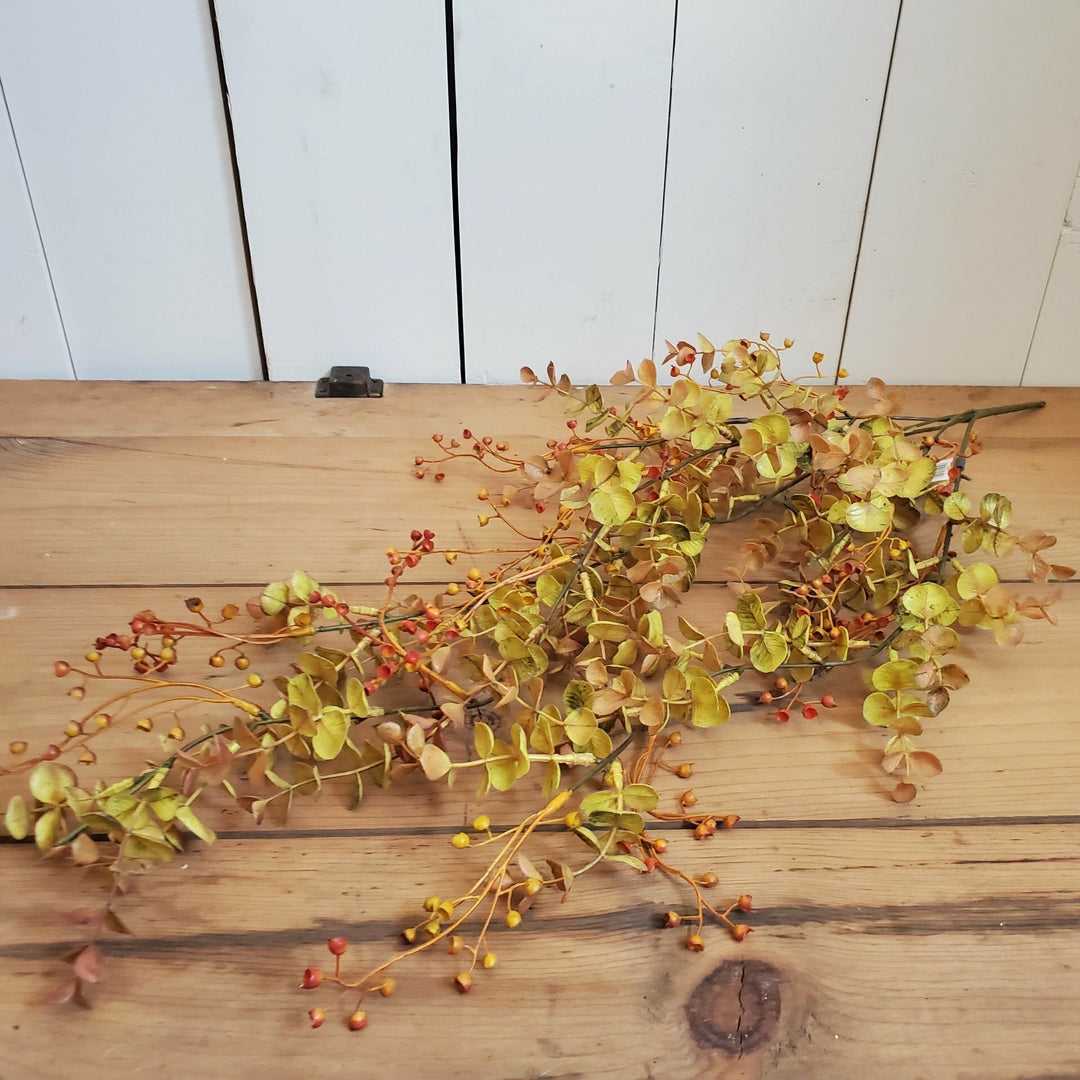 Harvest Eucalyptus Vine
