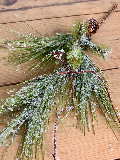 Iced Long Needle Mixed Pine Stem