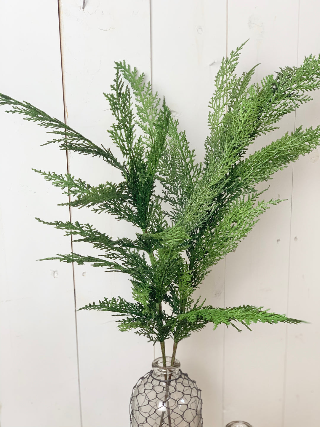 Large Cypress Spray