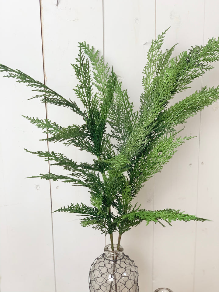 Large Cypress Spray