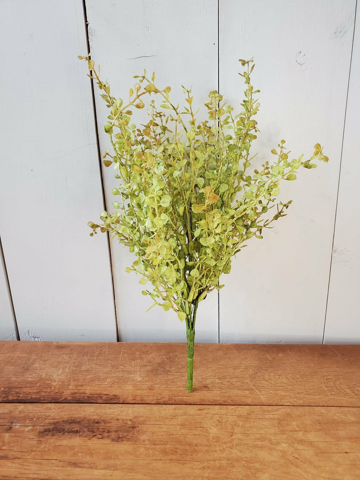 Light Baby Grass Stem