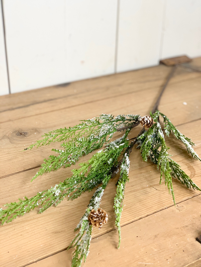 Lightly Frosted Pine Cone Stem