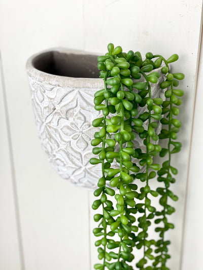 Long Hanging Succulent