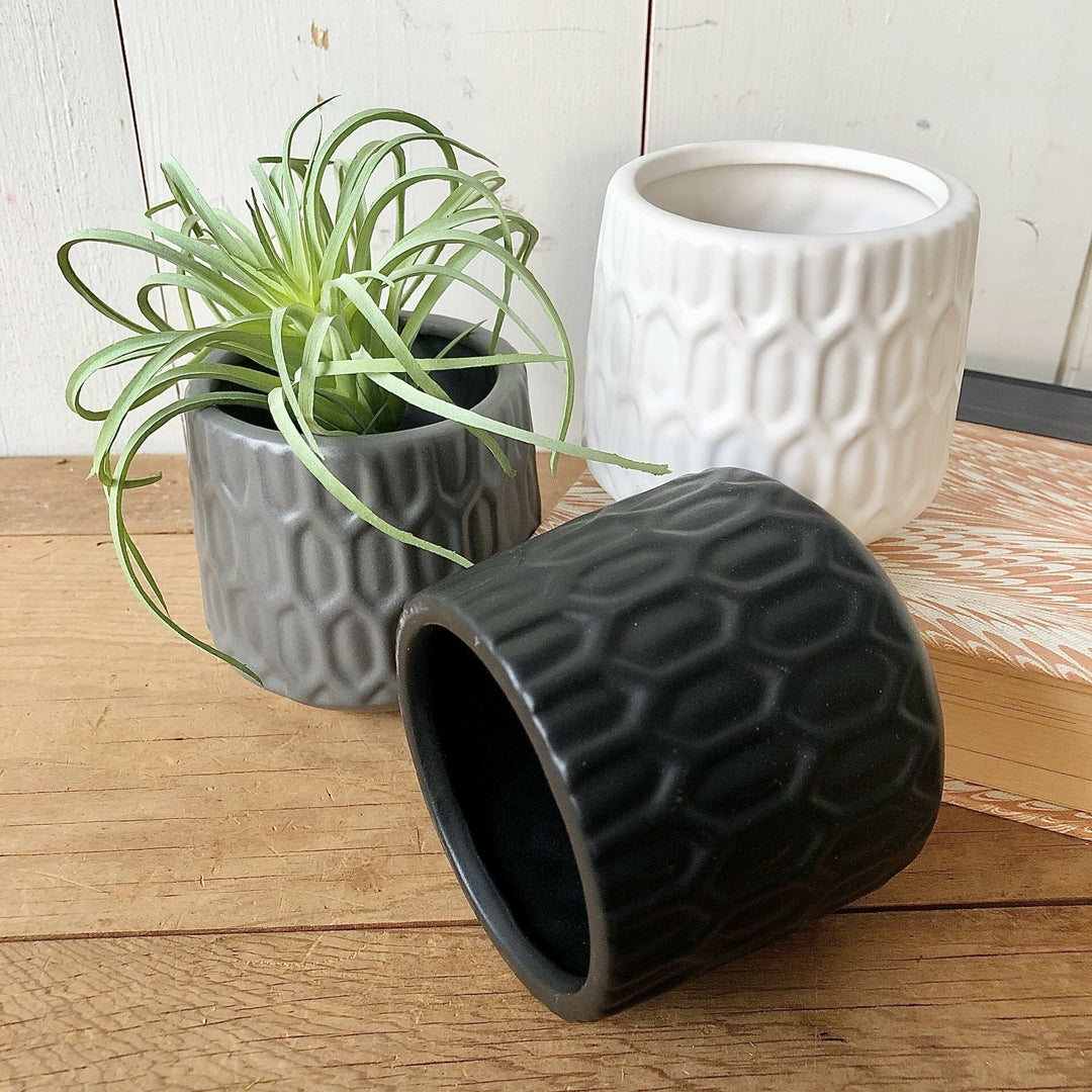 Mini Pot Set of 3