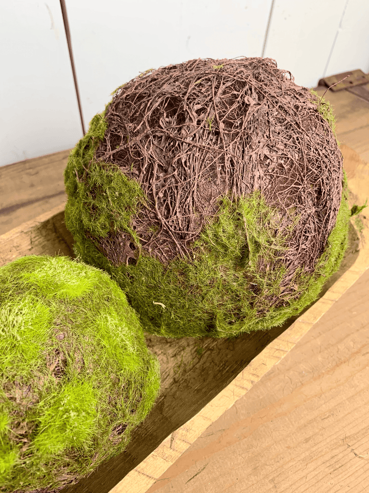 Moss Orbs