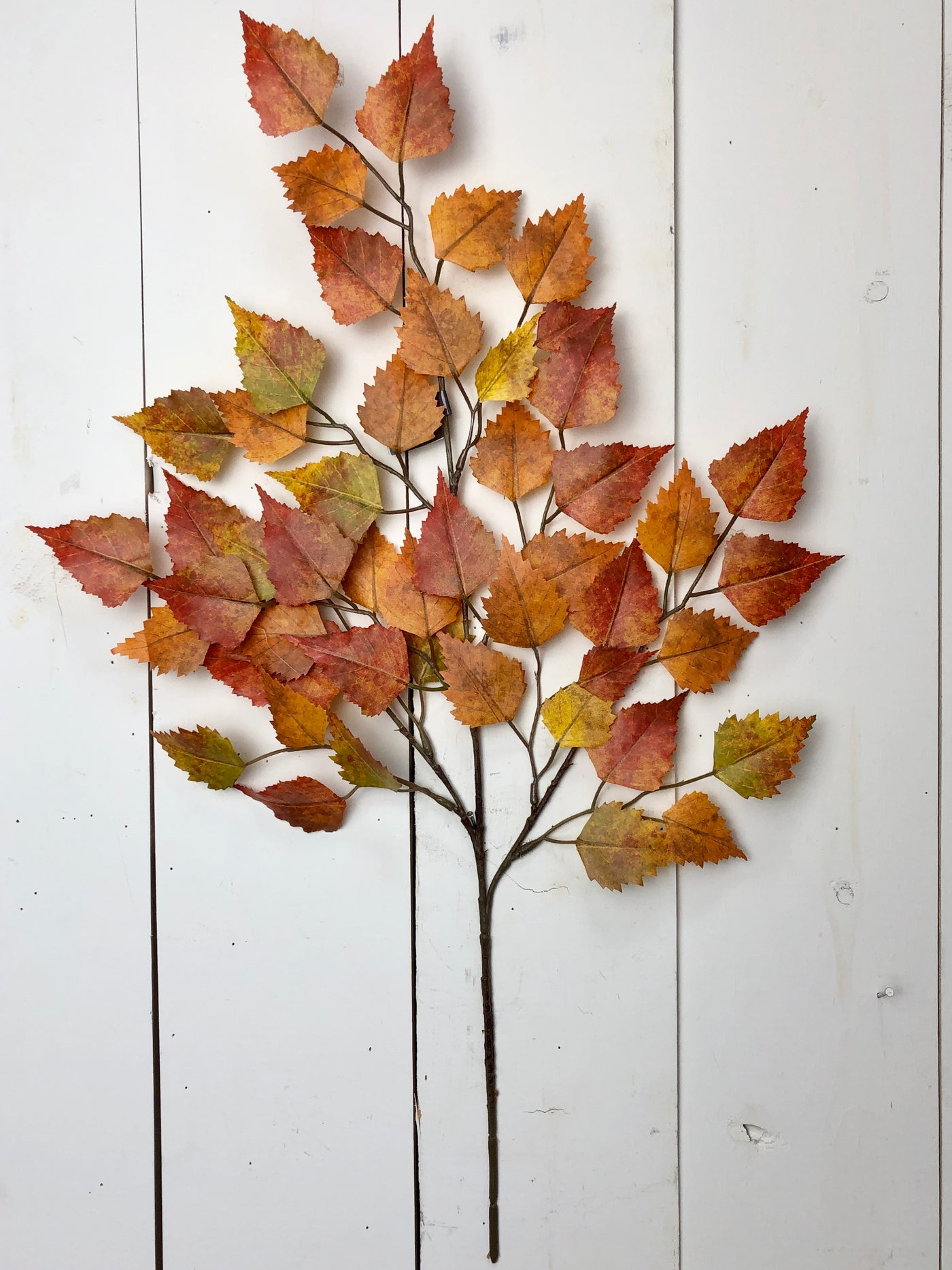 Orange and Yellow Birch Spray