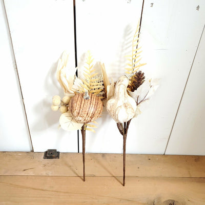 Pumpkin Husk Stem