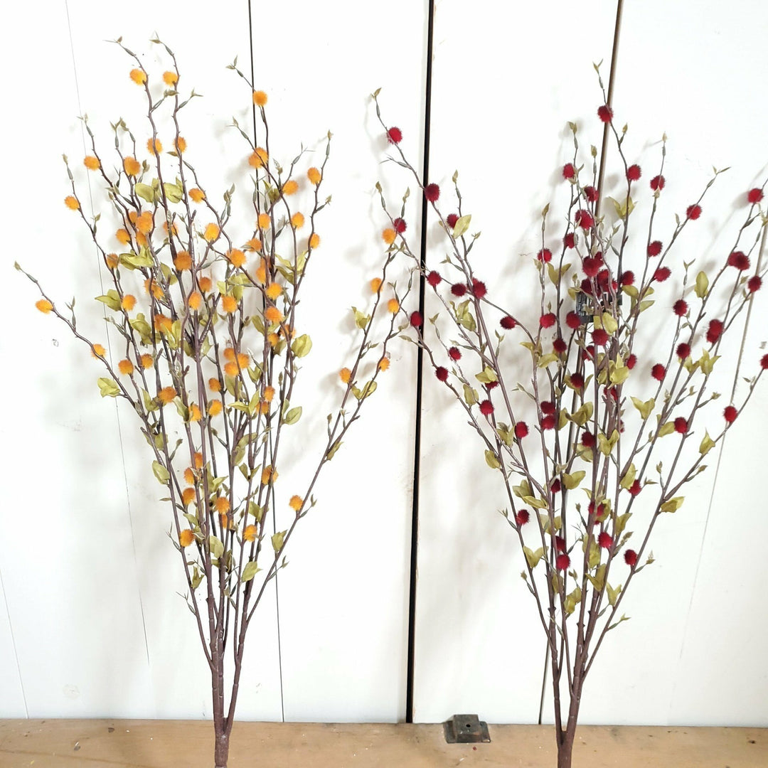 Pussywillow Bush