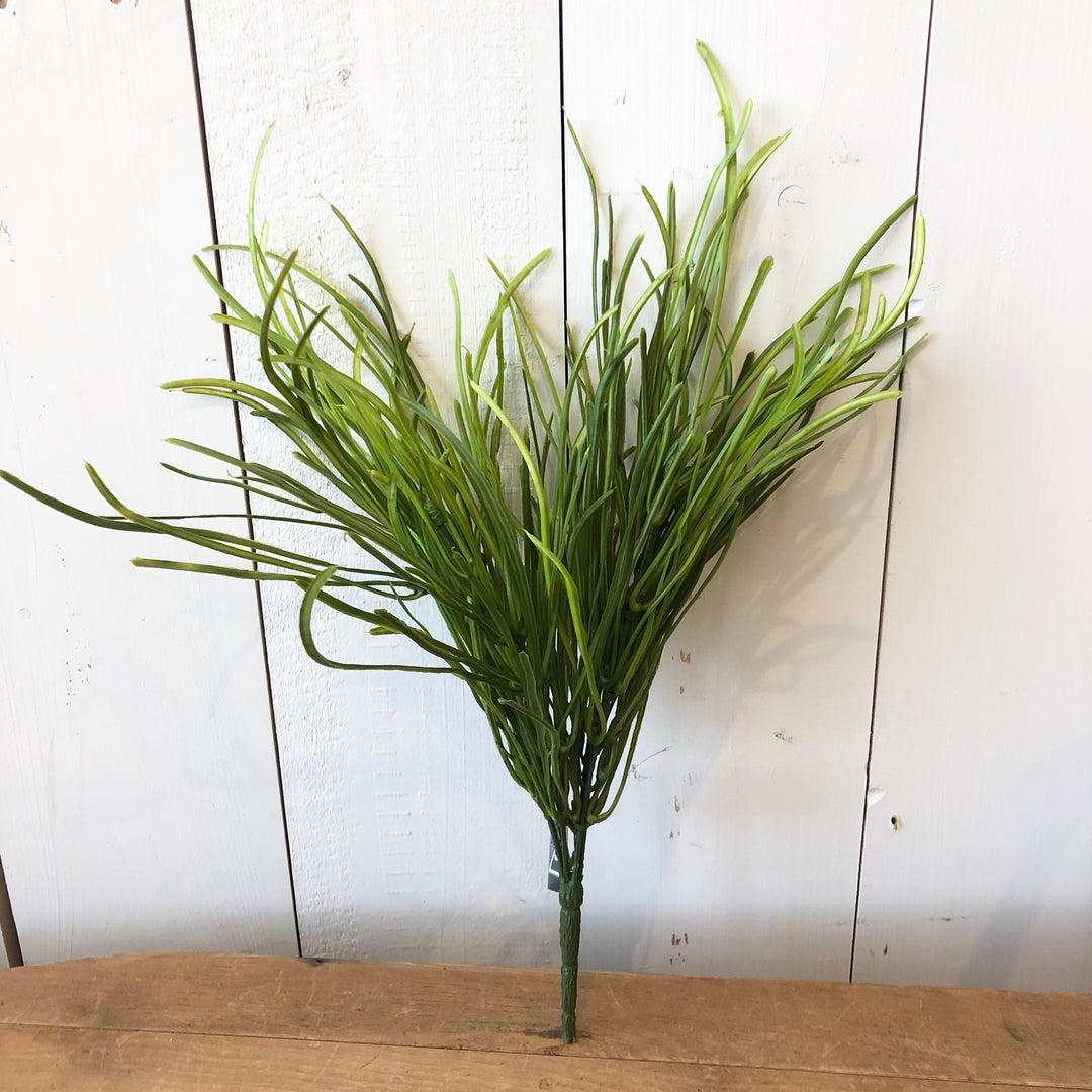 Short Pearl Grass