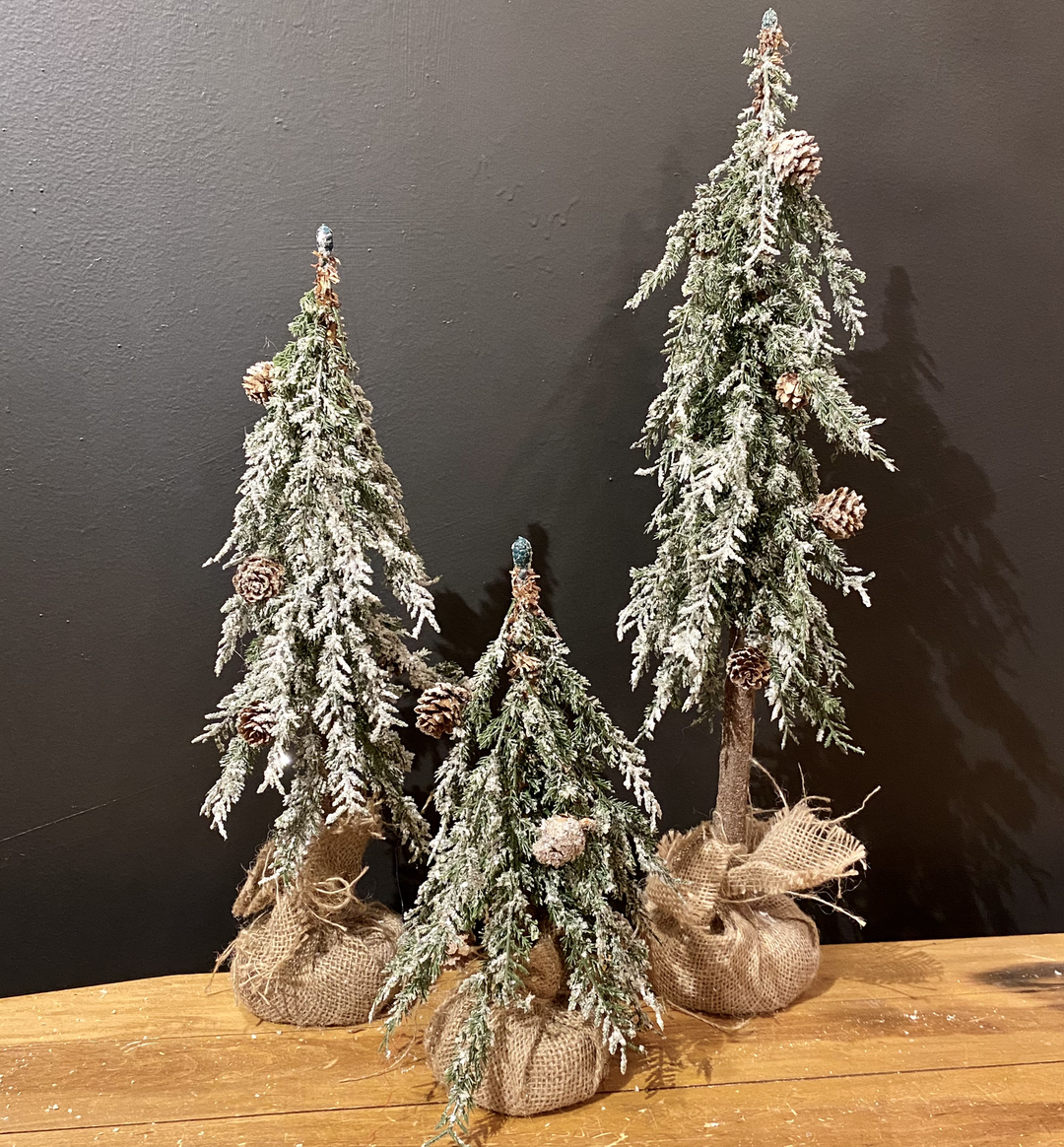 Snowy Alpine Tree