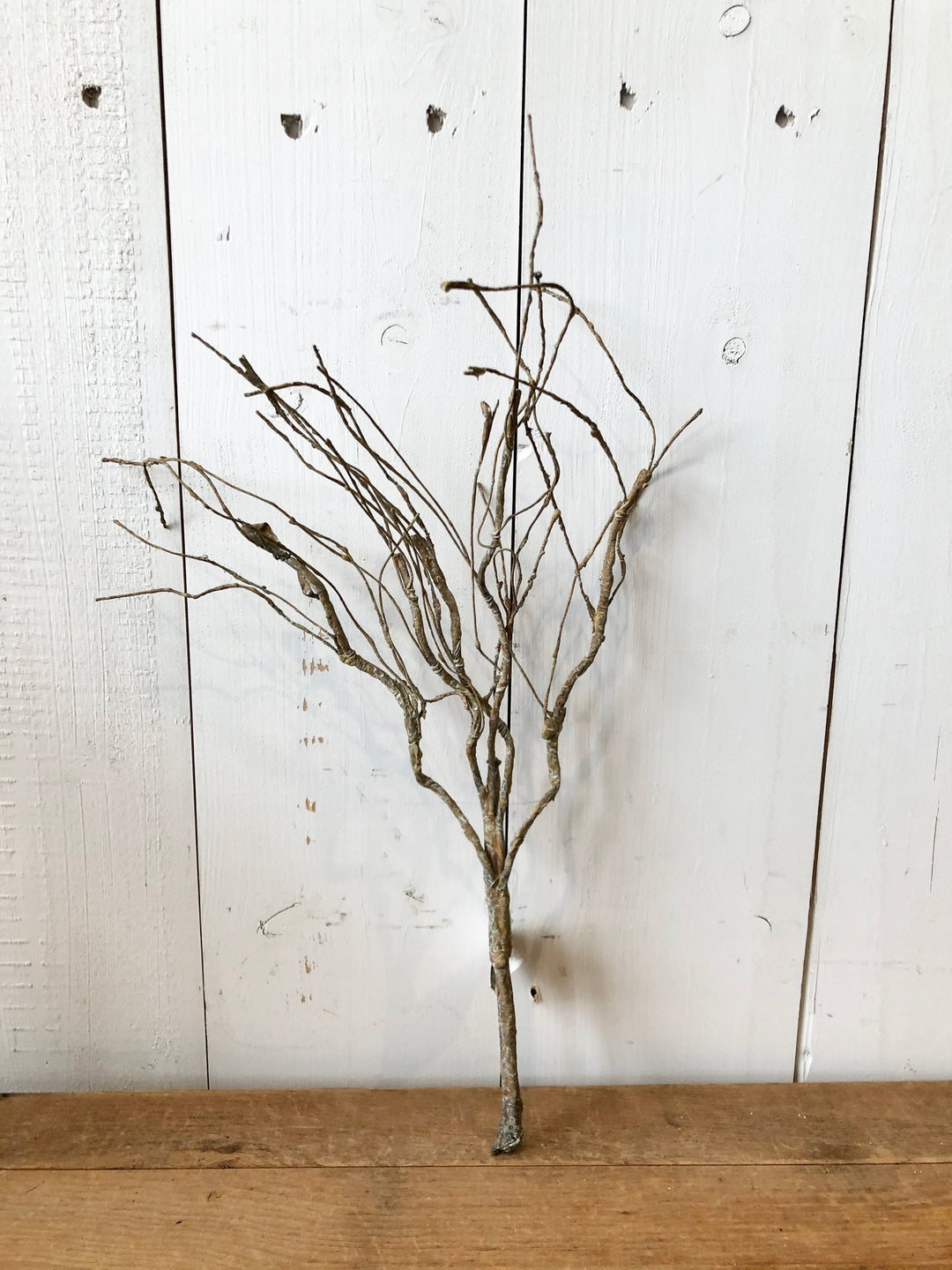 Twig Stem