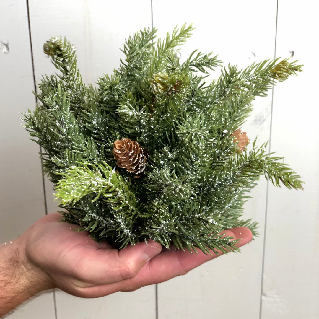 White Spruce Orb
