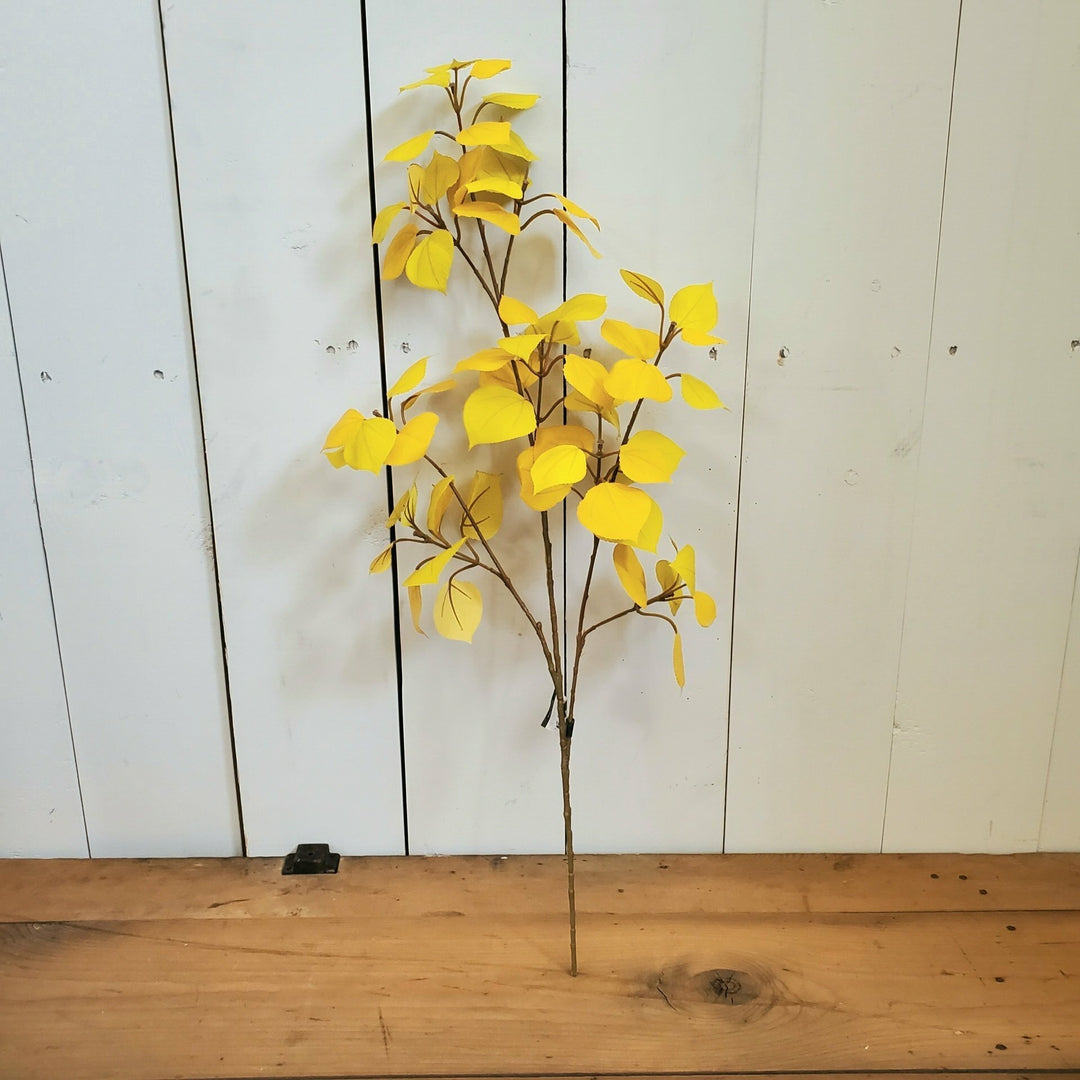 Yellow Aspen Leaves