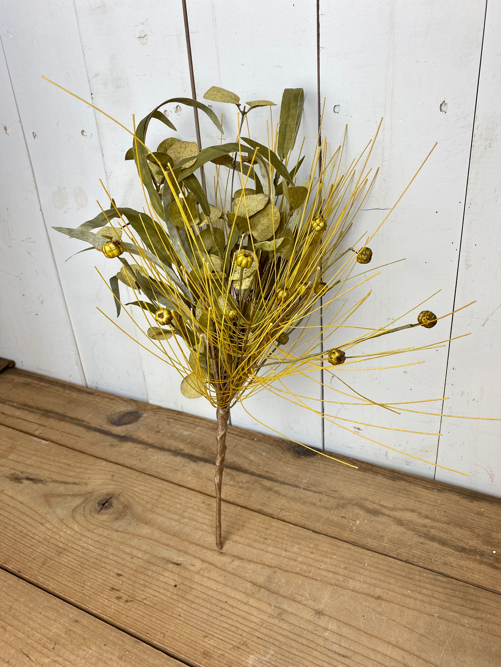 Eucalyptus/Pumpkin Bush - 3 Colors