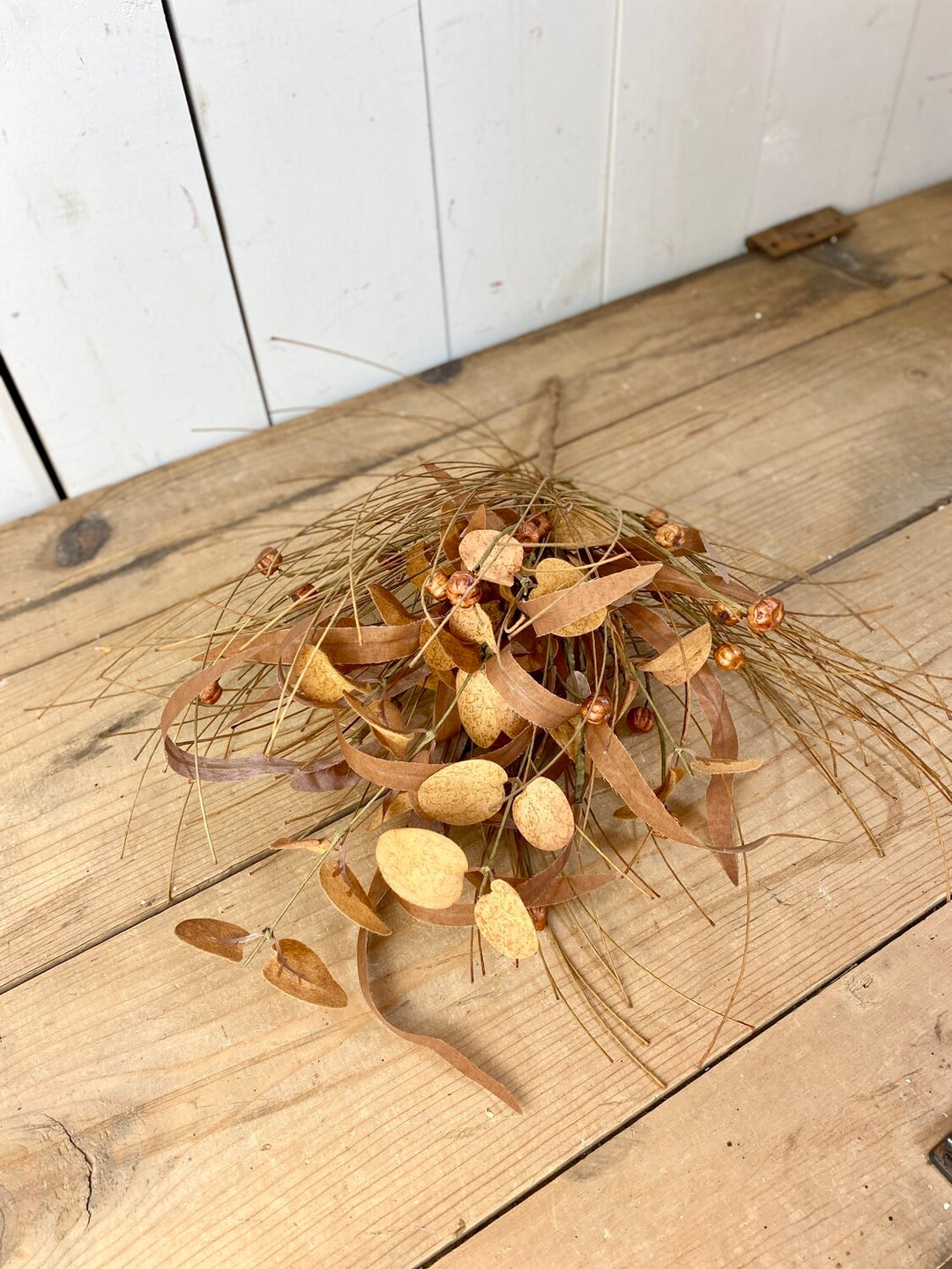 Eucalyptus/Pumpkin Bush - 3 Colors