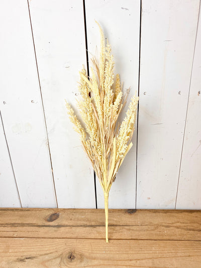 Heather Grass Stems