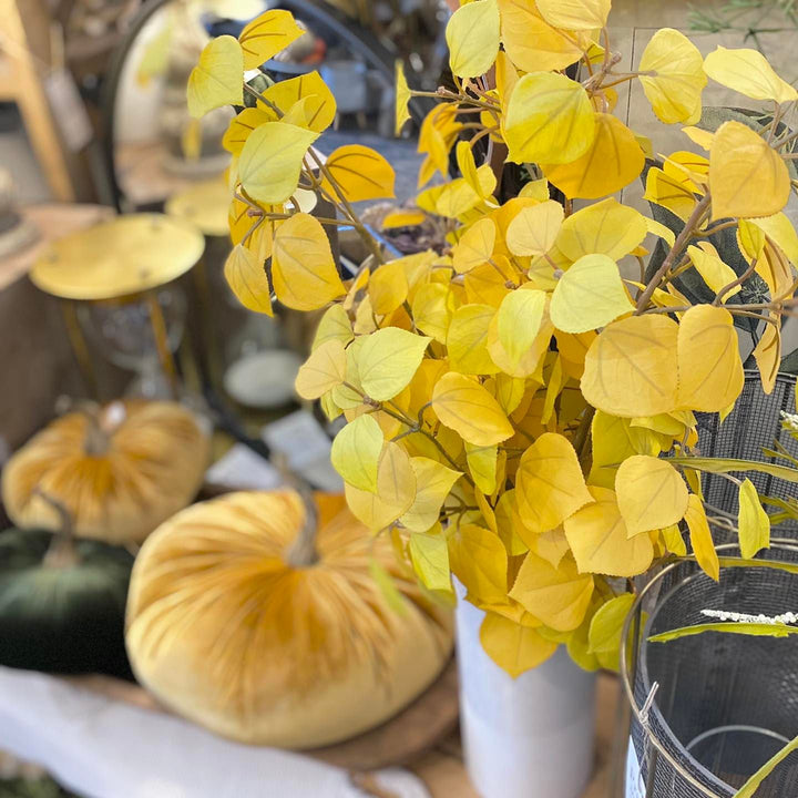 Yellow Aspen Leaves