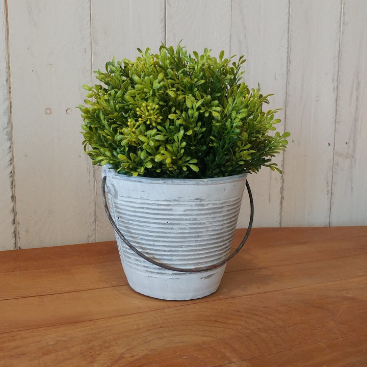 Half Orb - Tea Leaf