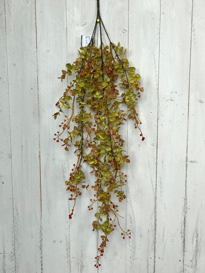 Harvest Eucalyptus Vine