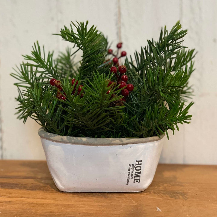 Douglas Pine Half Orb