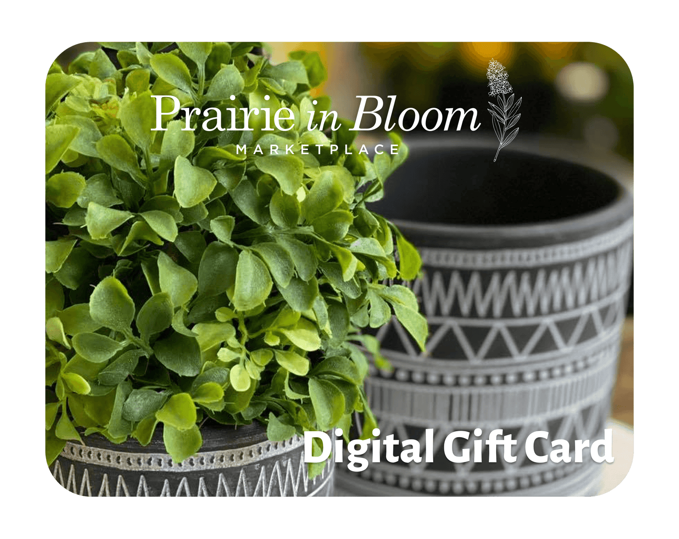 Prairie in Bloom Digital Gift Card