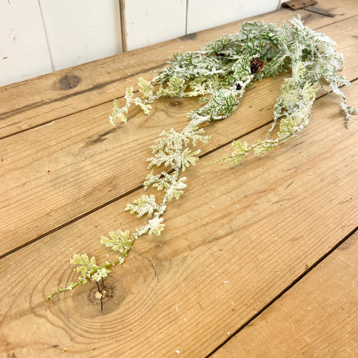 Frosted Fern Vine