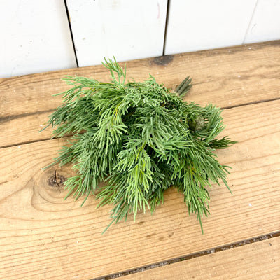Cedar Bouquet