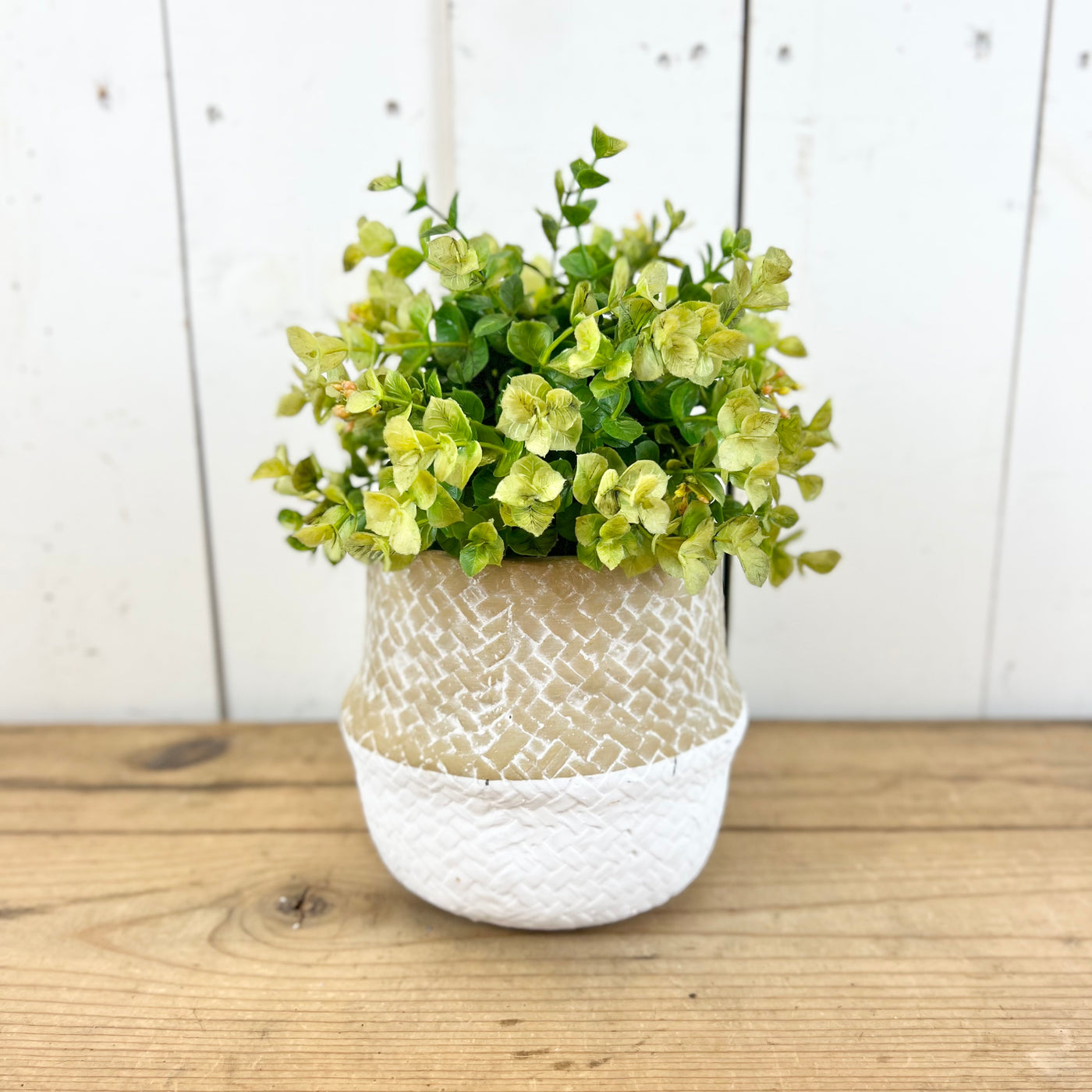 Woven Two-Toned Cement Pot