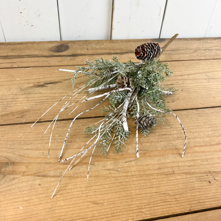 Cedar Pine Stem