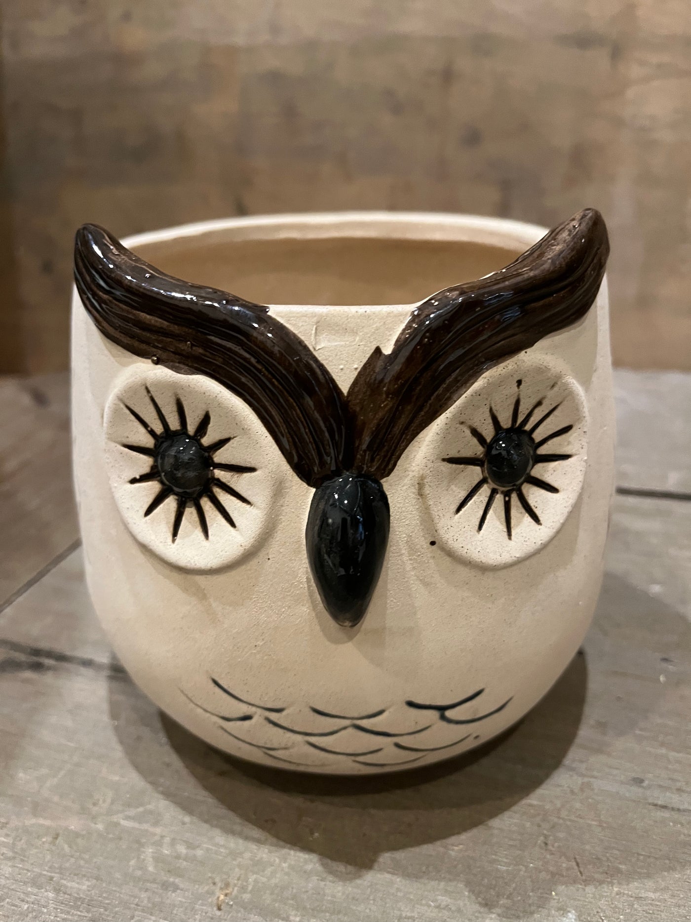 Kitschy Owl Planter