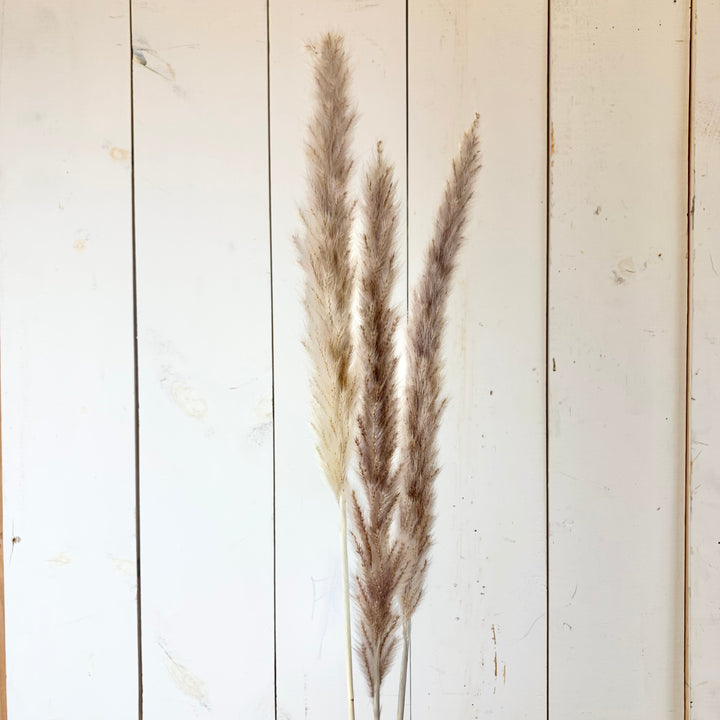 Faux Dried Sepia Reed Bundle