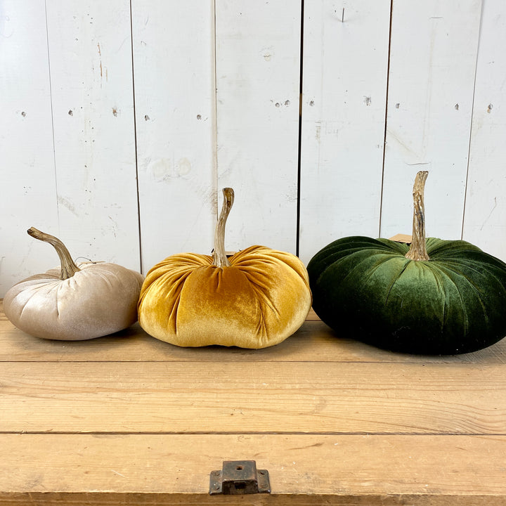 Velvet Pumpkins