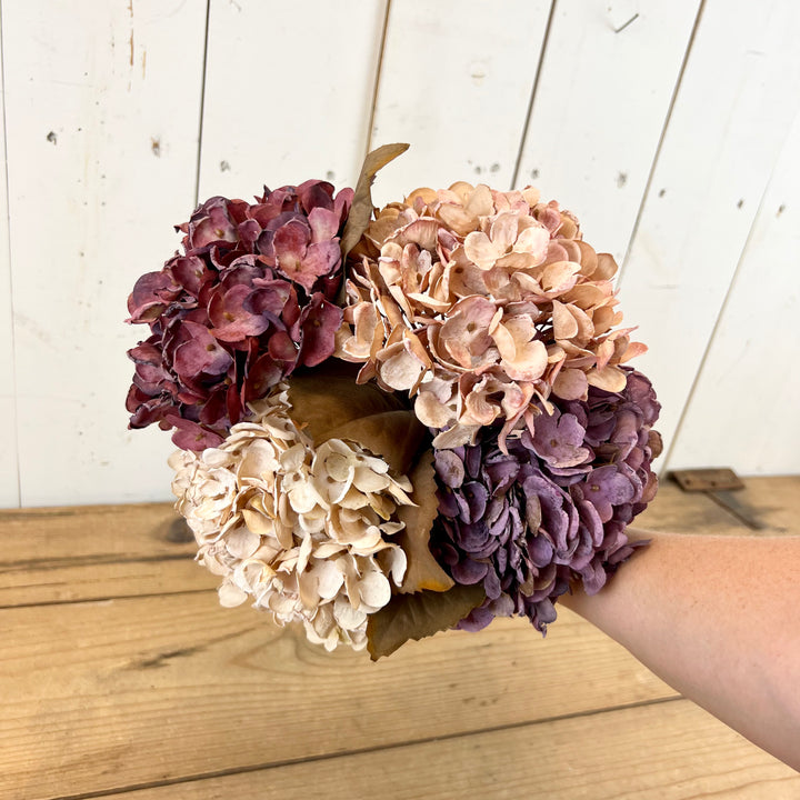 Hydrangea Stems