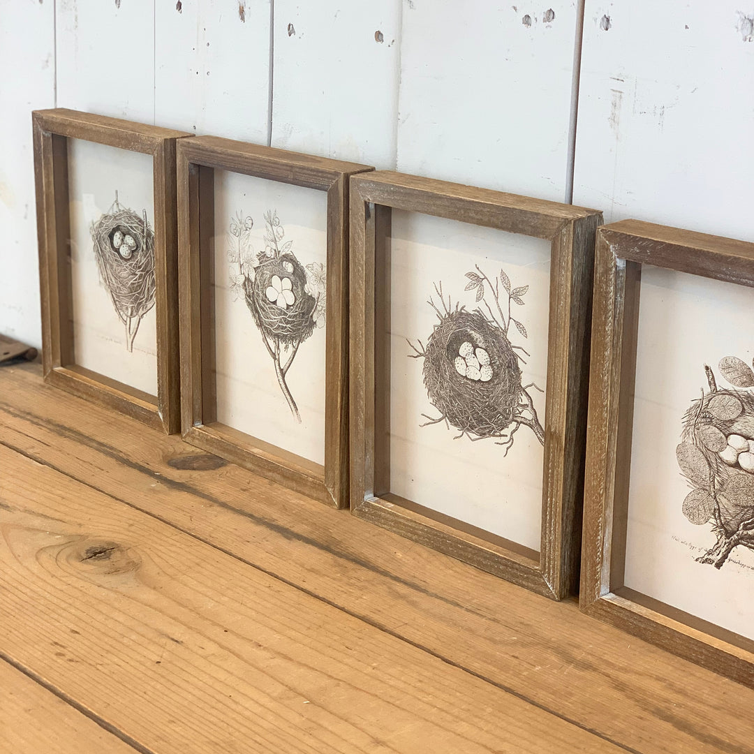 Framed Bird Nest Prints - Four Styles