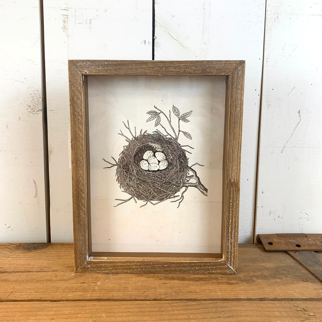 Framed Bird Nest Prints - Four Styles