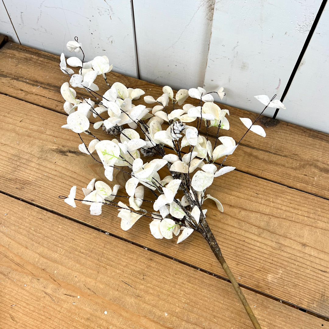 White Eucalyptus Collection