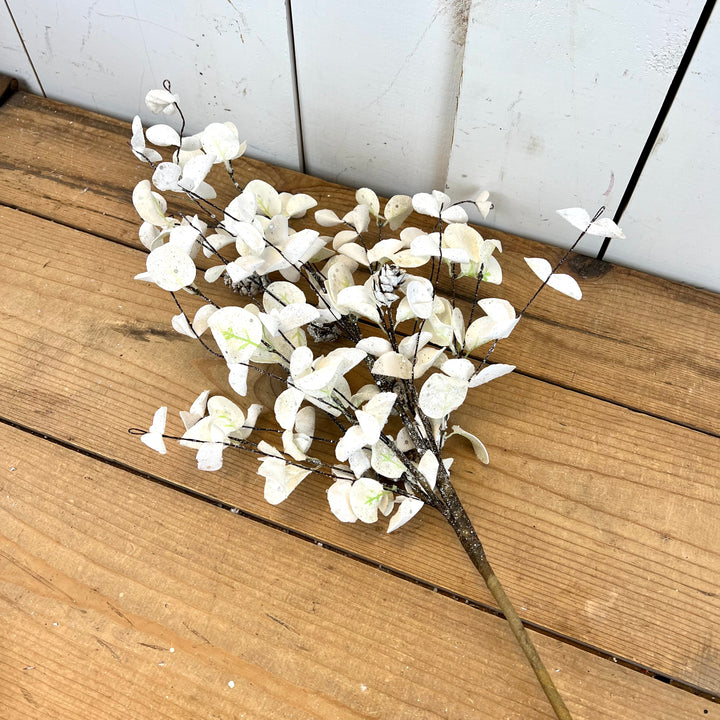 White Eucalyptus Collection