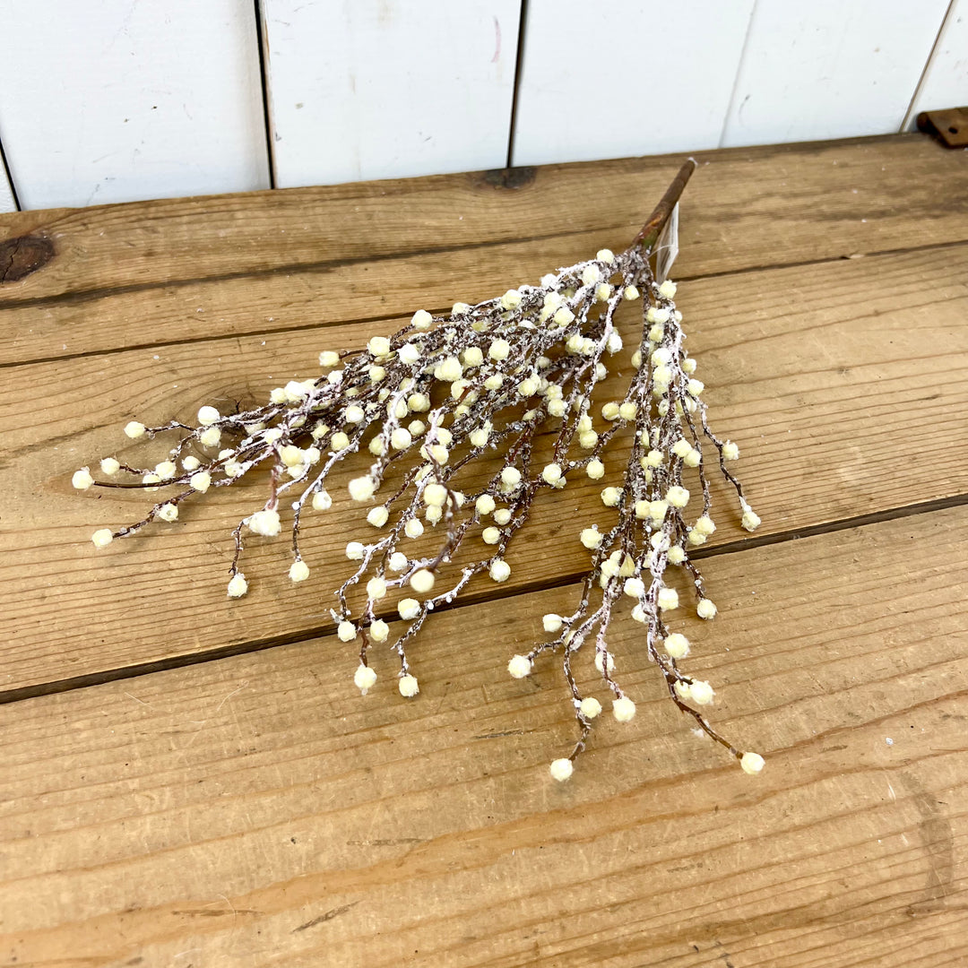 Glitter Cream Berries
