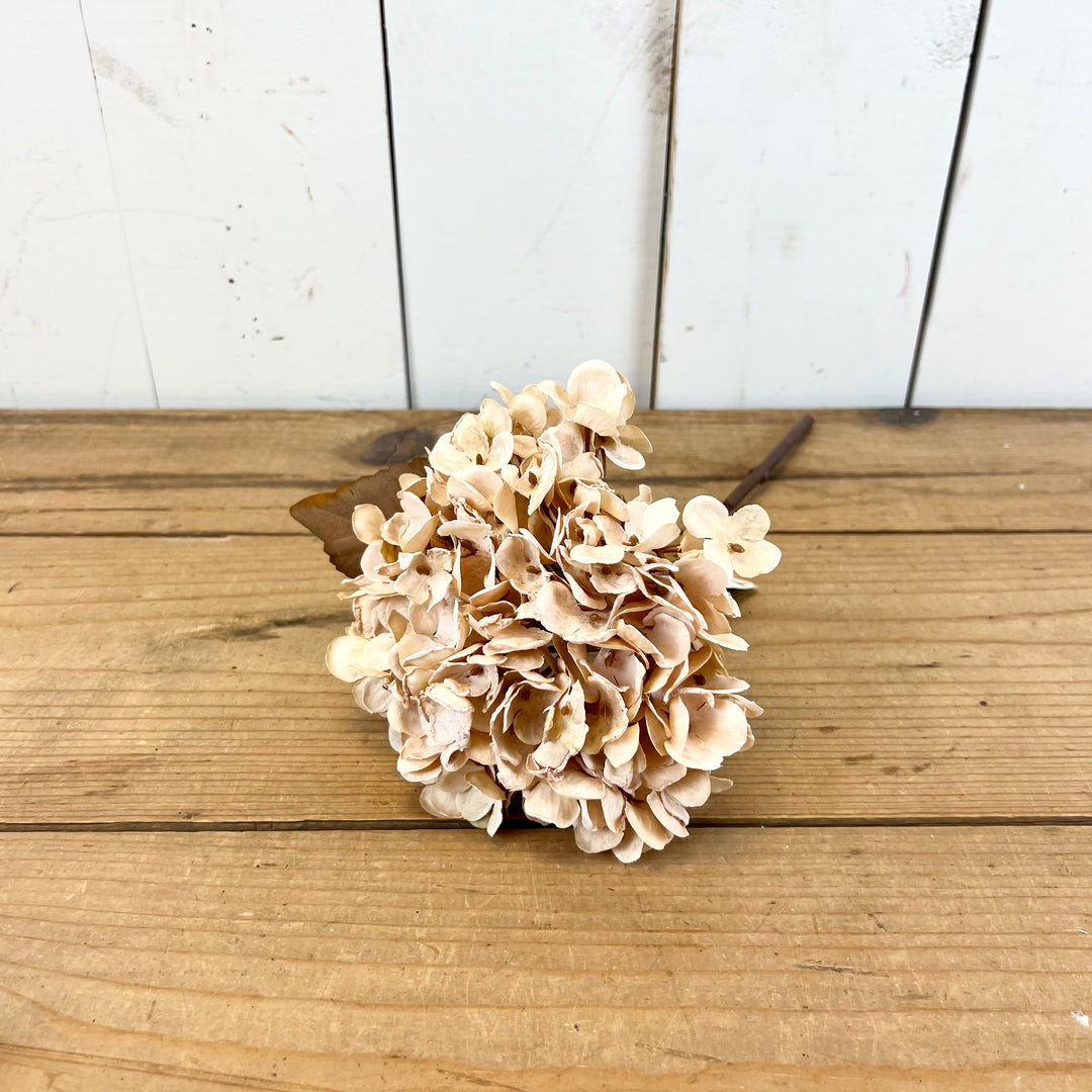 Hydrangea Stems