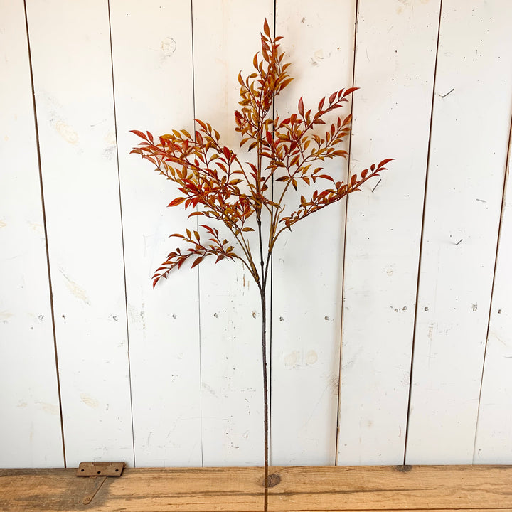 Harvest Leaf Stem