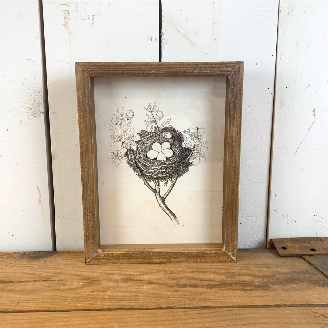 Framed Bird Nest Prints - Four Styles