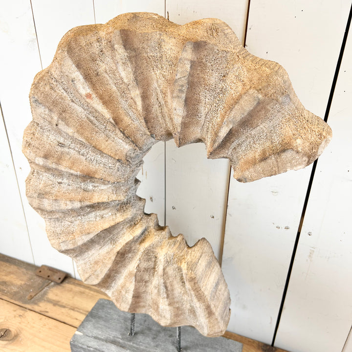 Paulownia Wood Table Accents
