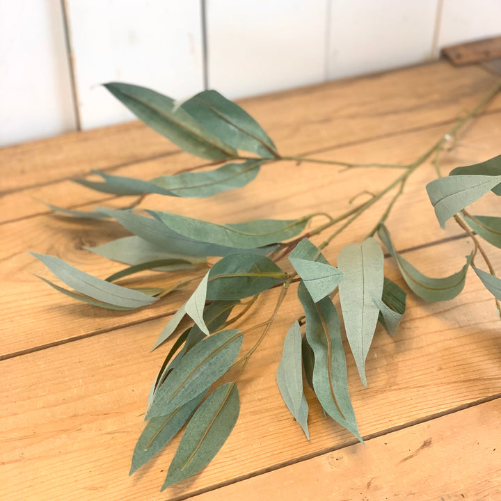 Needle Leaf Eucalyptus Stem