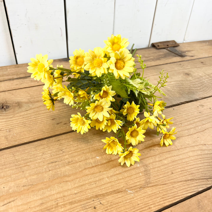 Daisy Bundles