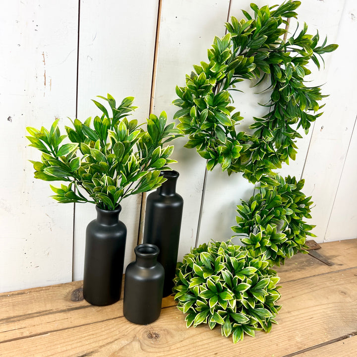 Privet Collection
