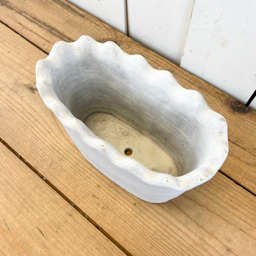 Scalloped Oval Cement Pot