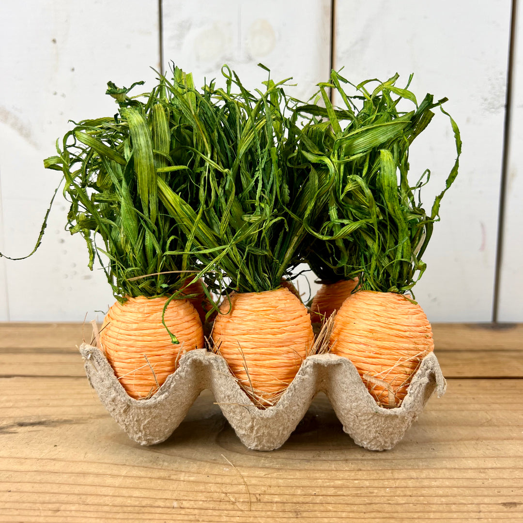 Handcrafted Carrots in Carton