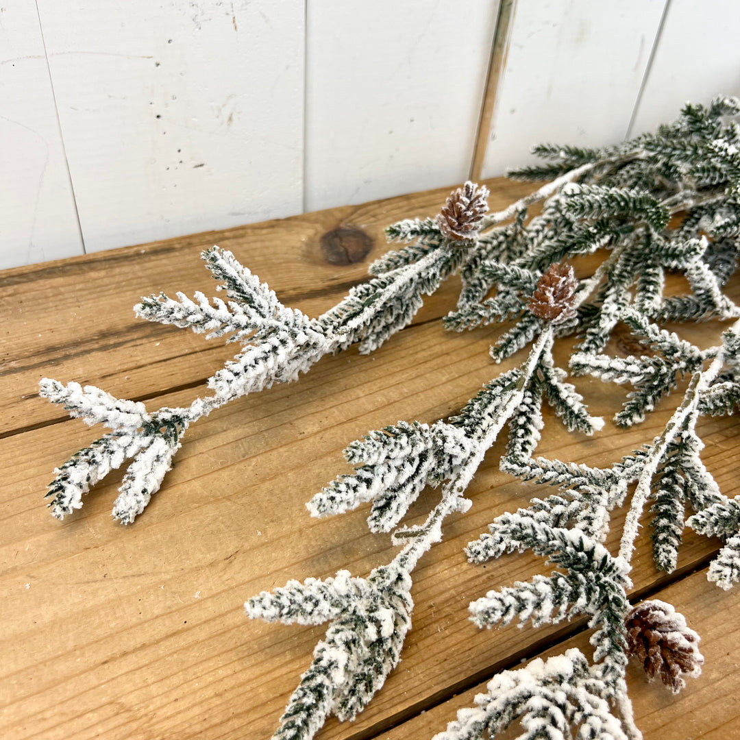 Snowy Pine Vine