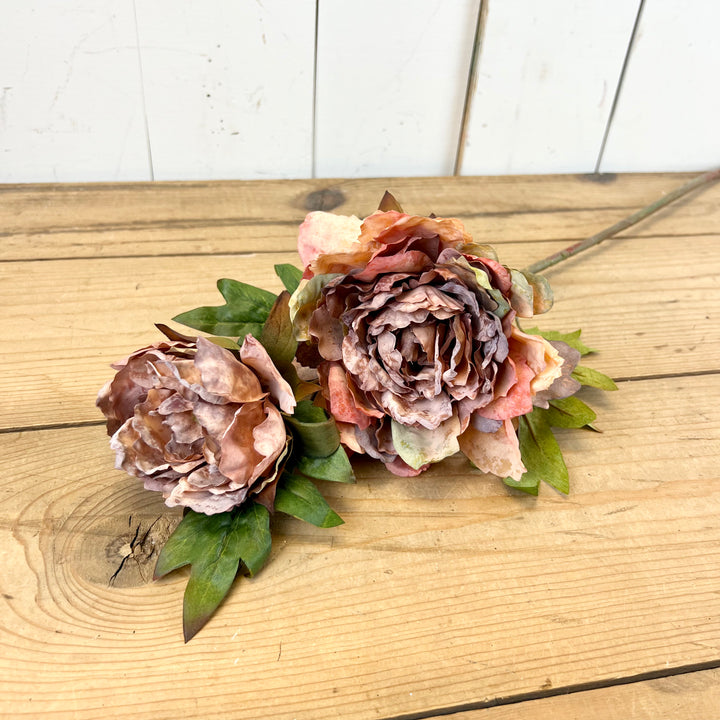 Peony Stems