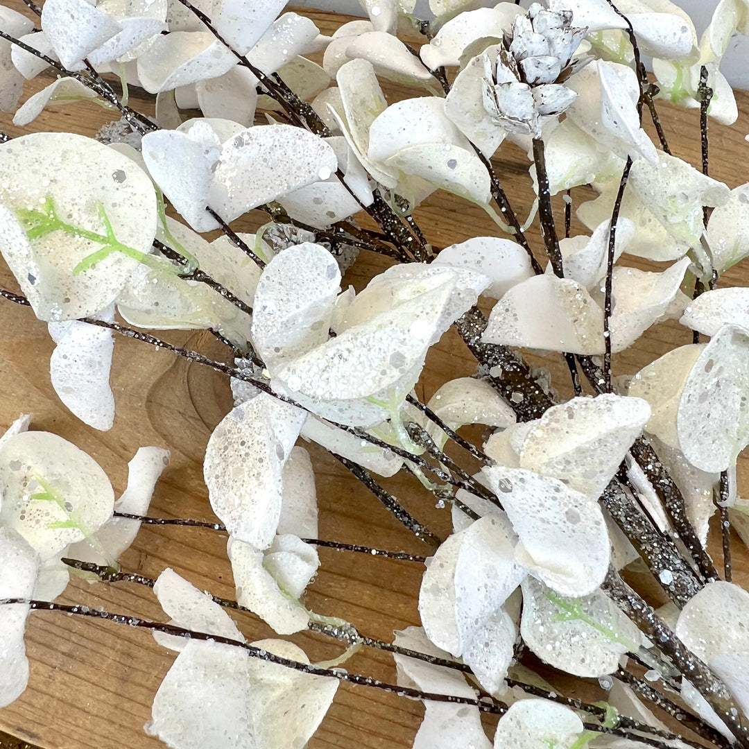 White Eucalyptus Collection